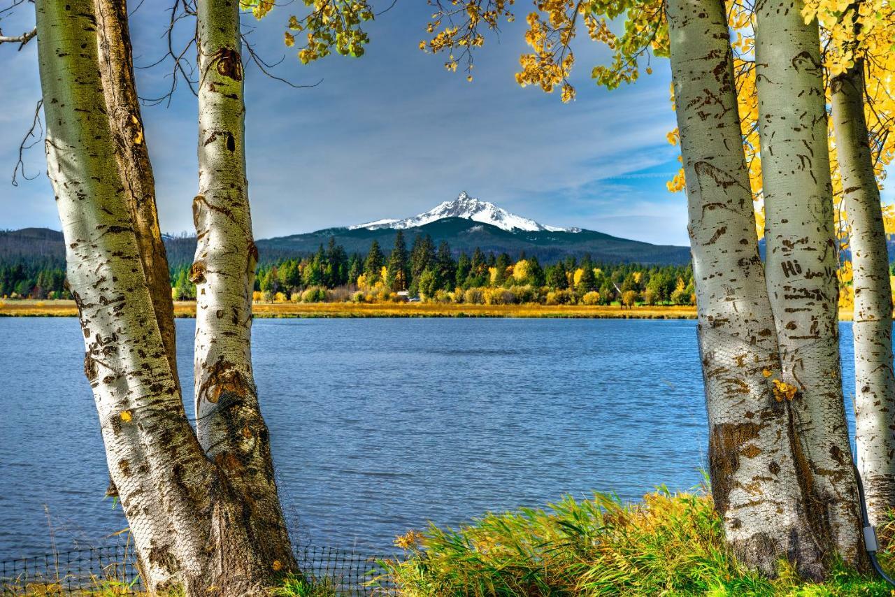 Vila Black Butte Ranch: Partridge Foot Cabin Lot #Rr83 Sisters Exteriér fotografie